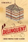 Elena Botella - Delinquent