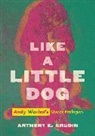Anthony E. Grudin, Grudin Anthony E. - Like a Little Dog