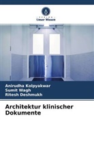 Ritesh Deshmukh, Anirudha Kolpyakwar, Sumit Wagh - Architektur klinischer Dokumente