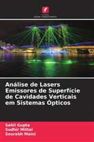 Sahil Gupta, Sourabh Maini, Sudhir Mittal - Análise de Lasers Emissores de Superfície de Cavidades Verticais em Sistemas Ópticos