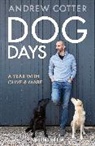 Andrew Cotter - Dog Days