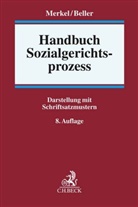 Katharina Beller, Heike Herold-Tews, Günter Merkel, Günter u Merkel, Klaus Niesel - Handbuch Sozialgerichtsprozess