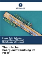 Nehal Ali, Nehal Abou-alfotoh Ali, Ayman Hamid Shanash, Fouad A S Soliman, Fouad A. S. Soliman - Thermische Energieumwandlung im Meer