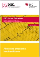 Deutsche Gesellschaft für Kardiologie, Deutsche Gesellschaft für Kardiologie - Akute und chronische Herzinsuffizienz