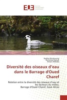 Nadhra Boukrouma, Romaissa Daoudi, Amani Héfaidia - Diversité des oiseaux d'eau dans le Barrage d'Oued Charef