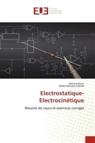 Abderrahmane Ghezal, Sabrina Nouri - Electrostatique-Electrocinétique