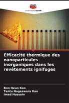 Imad Hussain, Bon Heun Koo, Tentu Nageswara Rao - Efficacité thermique des nanoparticules inorganiques dans les revêtements ignifuges