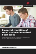 Natalia Parushina - Financial condition of small and medium-sized businesses