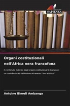 Antoine Bimeli Ambanga - Organi costituzionali nell'Africa nera francofona