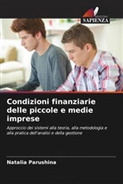 Natalia Parushina - Condizioni finanziarie delle piccole e medie imprese