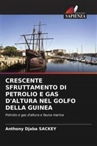 Anthony Djaba SACKEY - CRESCENTE SFRUTTAMENTO DI PETROLIO E GAS D'ALTURA NEL GOLFO DELLA GUINEA