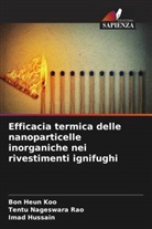 Imad Hussain, Bon Heun Koo, Tentu Nageswara Rao - Efficacia termica delle nanoparticelle inorganiche nei rivestimenti ignifughi