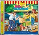 Elfie Donnelly - Bibi Blocksberg - Der Familienausflug, 1 Audio-CD (Hörbuch)