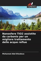 Mohamed Abd Elkodous - Nanosfere TIO2 assistite da carbonio per un migliore trattamento delle acque reflue