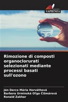 Ján Derco Mária Horváthová, Barbora Urminská O¿ga ¿i¿márová, Barbora Urminská Ol'ga Cizmárová, Ronald Zakhar - Rimozione di composti organoclorurati selezionati mediante processi basati sull'ozono