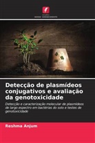 Reshma Anjum - Detecção de plasmídeos conjugativos e avaliação da genotoxicidade