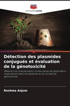 Reshma Anjum - Détection des plasmides conjugués et évaluation de la génotoxicité