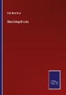 Gail Hamilton - Stumbling-Blocks
