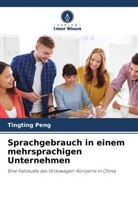Tingting Peng - Sprachgebrauch in einem mehrsprachigen Unternehmen