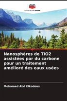Mohamed Abd Elkodous - Nanosphères de TIO2 assistées par du carbone pour un traitement amélioré des eaux usées