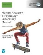 Elaine Marieb, Elaine N. Marieb, Lori Smith, Lori A. Smith - Human Anatomy and Physiology Laboratory Manual, Main Version