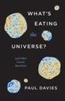Paul Davies - WHAT S EATING THE UNIVERSE 8211 AND