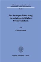 Christian Haidn - Die Zwangsvollstreckung im arbeitsgerichtlichen Urteilsverfahren.
