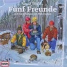 Enid Blyton, Oliver Mink, Oliver Rohrbeck - Fünf Freunde und das Geheimnis des Winterwaldes, 1 Audio-CD (Audio book)