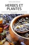 Marjolaine Deniaud - HERBES ET PLANTES