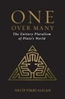 Necip Fikri Alican - One over Many