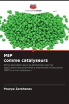 Pourya Zarshenas - MIP comme catalyseurs