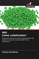Pourya Zarshenas - MIP Come catalizzatori