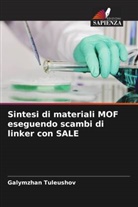 Galymzhan Tuleushov - Sintesi di materiali MOF eseguendo scambi di linker con SALE