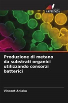 Vincent Aniaku - Produzione di metano da substrati organici utilizzando consorzi batterici