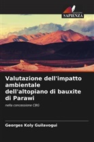 Georges Koly Guilavogui - Valutazione dell'impatto ambientale dell'altopiano di bauxite di Parawi