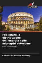 Ebadollah Amouzad Mahdiraji - Migliorare la distribuzione dell'energia nelle microgrid autonome