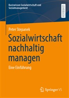 Peter Stepanek - Sozialwirtschaft nachhaltig managen
