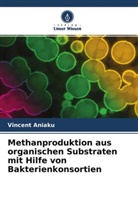 Vincent Aniaku - Methanproduktion aus organischen Substraten mit Hilfe von Bakterienkonsortien