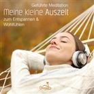 Alan Fields, Ohrinsel - Meine kleine Auszeit, Audio-CD (Hörbuch)