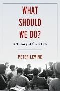 Peter Levine, Peter (Associate Dean of Academic Affairs Levine, Levine Peter - What Should We Do? A Theory of Civic Life