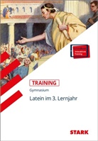 Gerhard Metzger - STARK Training Gymnasium - Latein 3. Lernjahr, m. 1 Buch, m. 1 Beilage