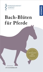 Ute Ochsenbauer - Bach-Blüten für Pferde