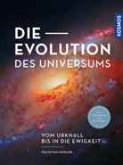 Felicitas Mokler - Die Evolution des Universums