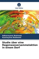 Adinarayana Badveeti, Kasinayana Badweeti - Studie über eine Regenwassersammelaktion in einem Dorf