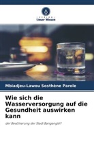 Mbiadjeu-Lawou Sosthène Parole - Wie sich die Wasserversorgung auf die Gesundheit auswirken kann