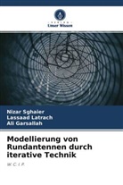 Ali Garsallah, Lassaad Latrach, Nizar Sghaier - Modellierung von Rundantennen durch iterative Technik