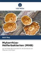 Asit Ray, Mrinal Ray, Puja Sashankar - Mykorrhiza-Helferbakterien (MHB)