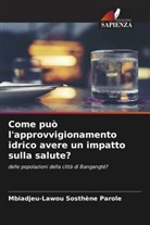 Mbiadjeu-Lawou Sosthène Parole - Come può l'approvvigionamento idrico avere un impatto sulla salute?