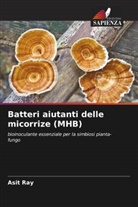 Asit Ray, Mrinal Ray, Puja Sashankar - Batteri aiutanti delle micorrize (MHB)