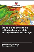 Adinarayana Badveeti, Kasinayana Badweeti - Étude d'une activité de collecte d'eau de pluie entreprise dans un village